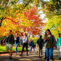 Unlock Educational Opportunities in Northeastern Mississippi